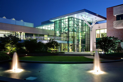 Cary Fukunaga Net Worth: Not Found in This Downtown Cary Context